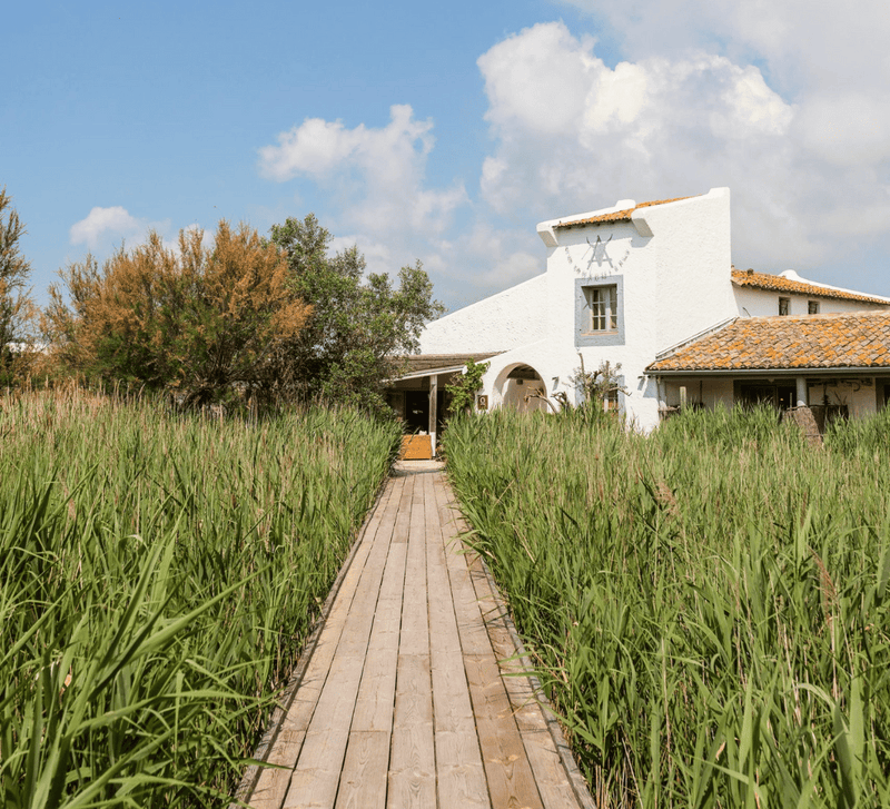 Séjour bien-être : Pilates, bains sonores et balade à cheval en Camargue