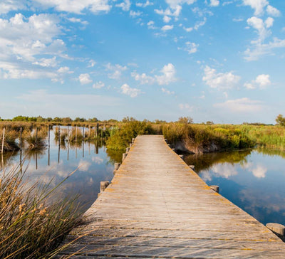 L'expérience No Stress & Yoga dans une vraie maison camarguaise
