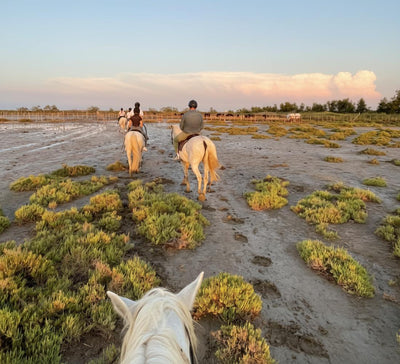 Yoga & Pilates en Camargue - été