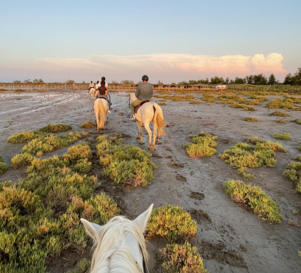 Yoga & Pilates en Camargue - été