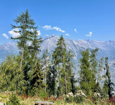 Le Spa des Sommets : Yoga & Régénération dans les Alpes Suisses