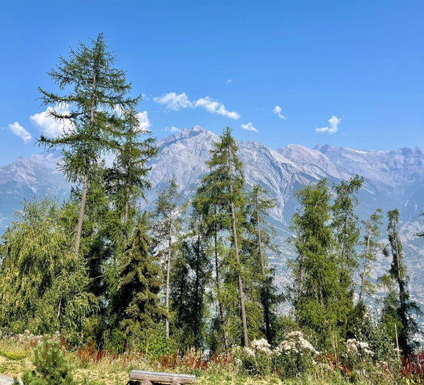 Le Spa des Sommets : Yoga & Régénération dans les Alpes Suisses