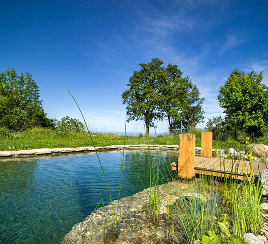 Le Sanctuaire Catalan : Yoga, Spa & Bien-être entre mer et montagnes