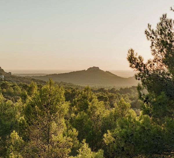 Parenthèse Solaire : Yoga & Lâcher-prise en Provence