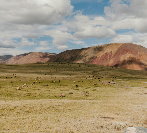 Voyage bien-être initiatique au coeur de la Mongolie