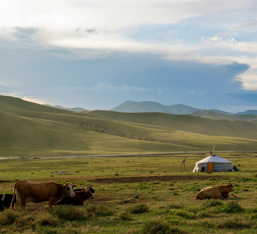 Voyage bien-être initiatique au coeur de la Mongolie