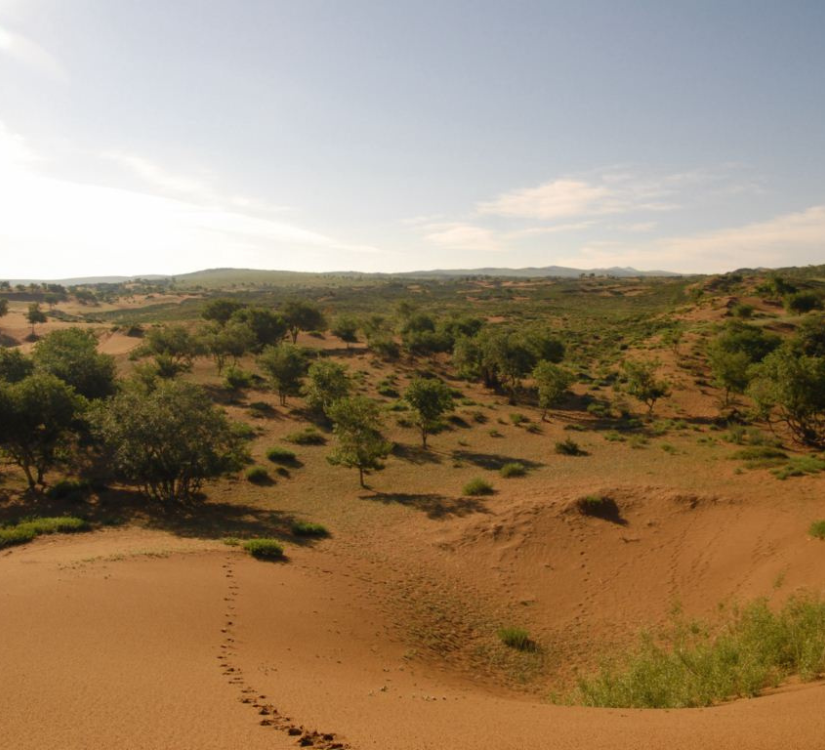 Voyage bien-être initiatique au coeur de la Mongolie