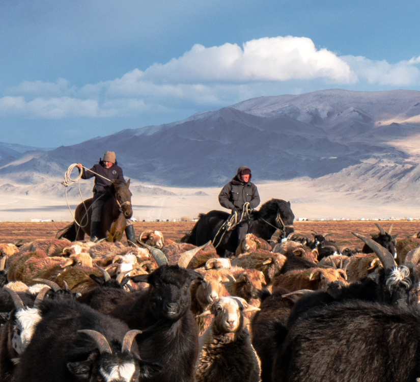 Voyage bien-être initiatique au coeur de la Mongolie