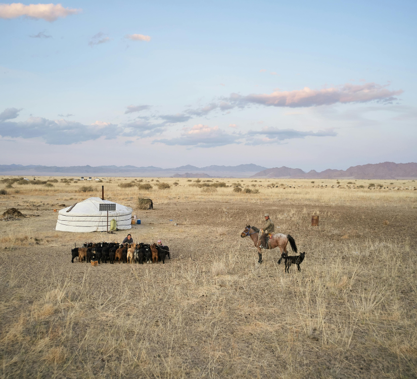 Voyage bien-être initiatique au coeur de la Mongolie