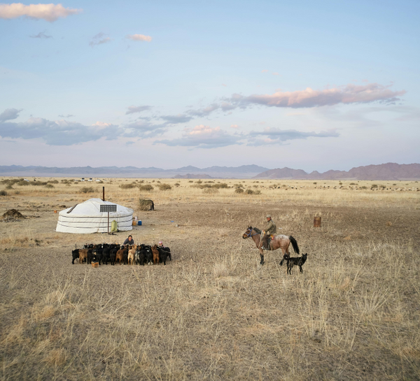 Voyage bien-être initiatique au coeur de la Mongolie