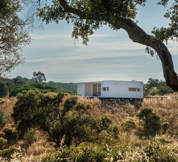 L’Automne Intérieur : Yoga, rituels de saison & bain sonore au Portugal