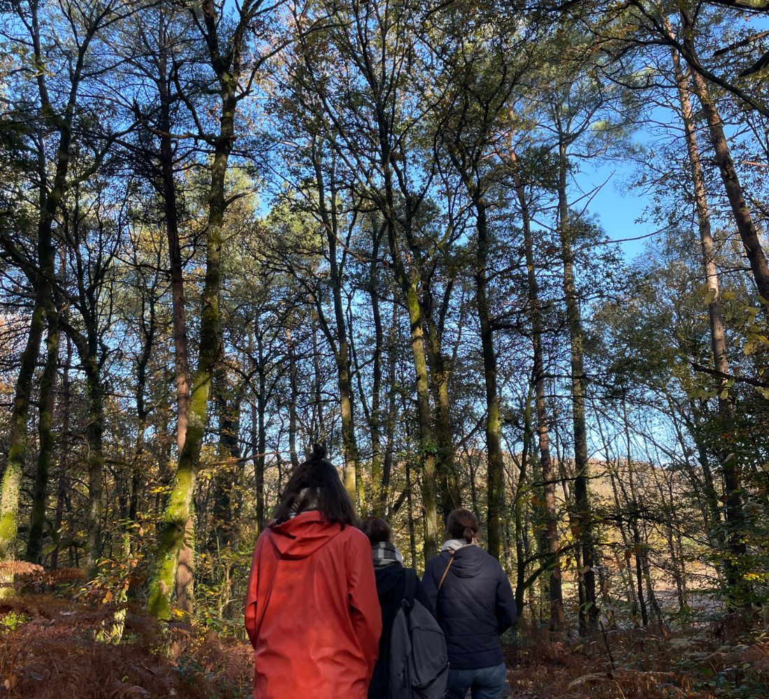 Changer de Perspective : Yoga & Lecture en Bretagne