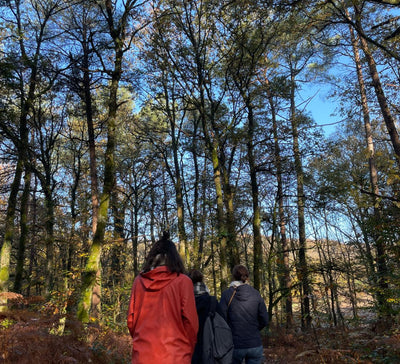Changer de Perspective : Yoga & Lecture en Bretagne