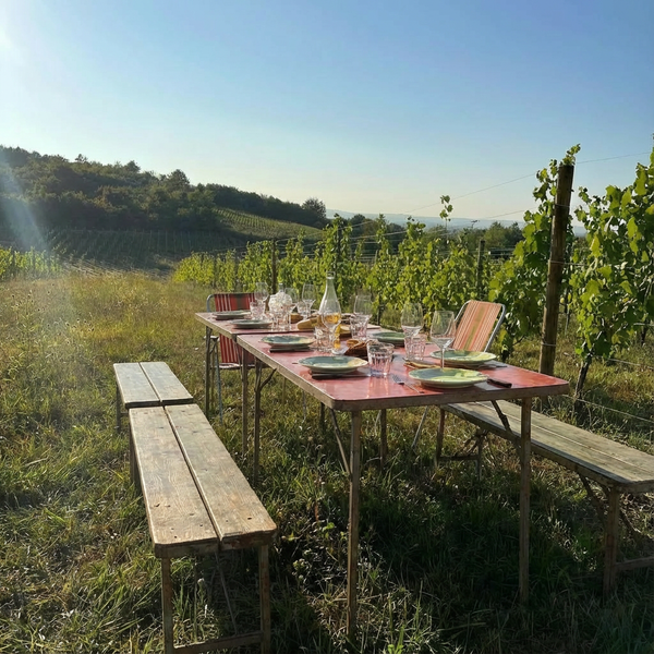 L’Été de la Liberté : Yoga, Danse & Poterie en Bourgogne