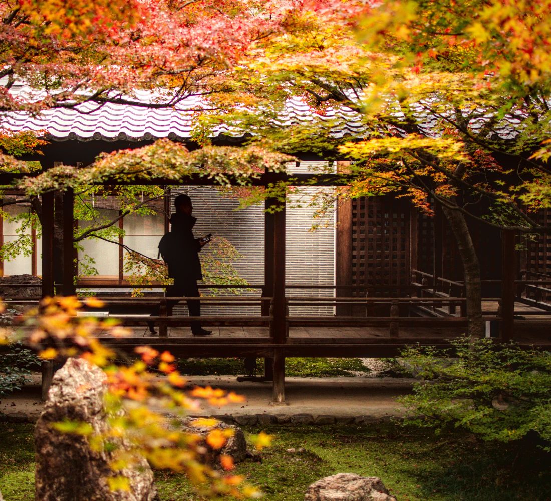 Le Japon de l'intérieur : entre traditions, temples et art de vivre