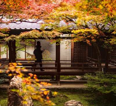 Le Japon de l'intérieur : entre traditions, temples et art de vivre