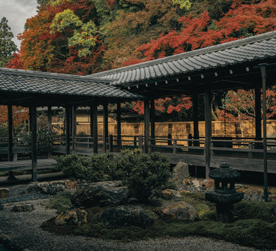 Le Japon de l'intérieur : entre traditions, temples et art de vivre