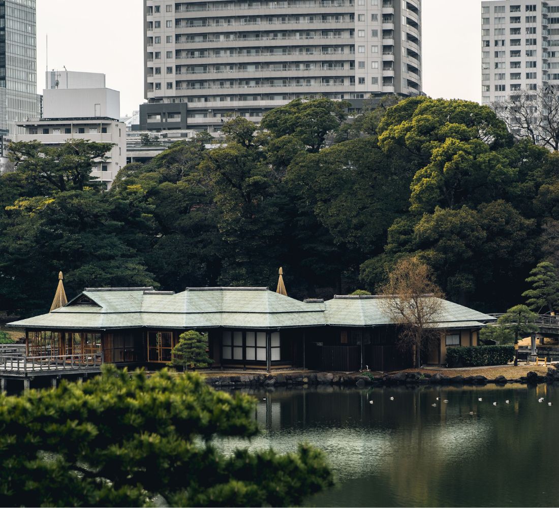 Le Japon de l'intérieur : entre traditions, temples et art de vivre