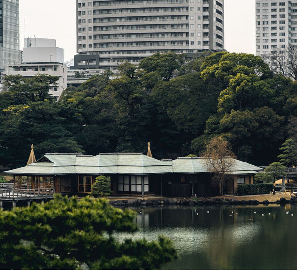Le Japon de l'intérieur : entre traditions, temples et art de vivre
