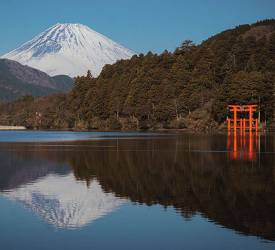 Le Japon de l'intérieur : entre traditions, temples et art de vivre