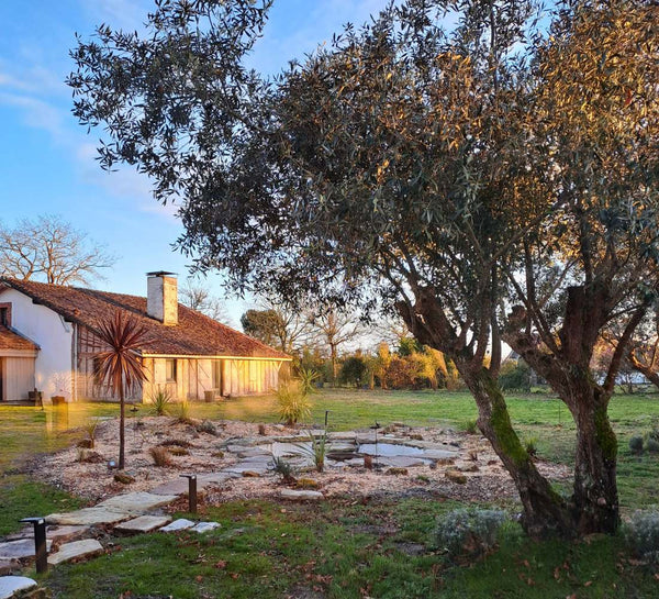 Yoga & Spa dans les Landes - Séjour