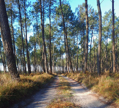 Yoga & Spa dans les Landes - Séjour