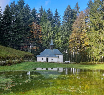 Le Spa Panoramique des Vosges : Yoga & Régénération du Corps