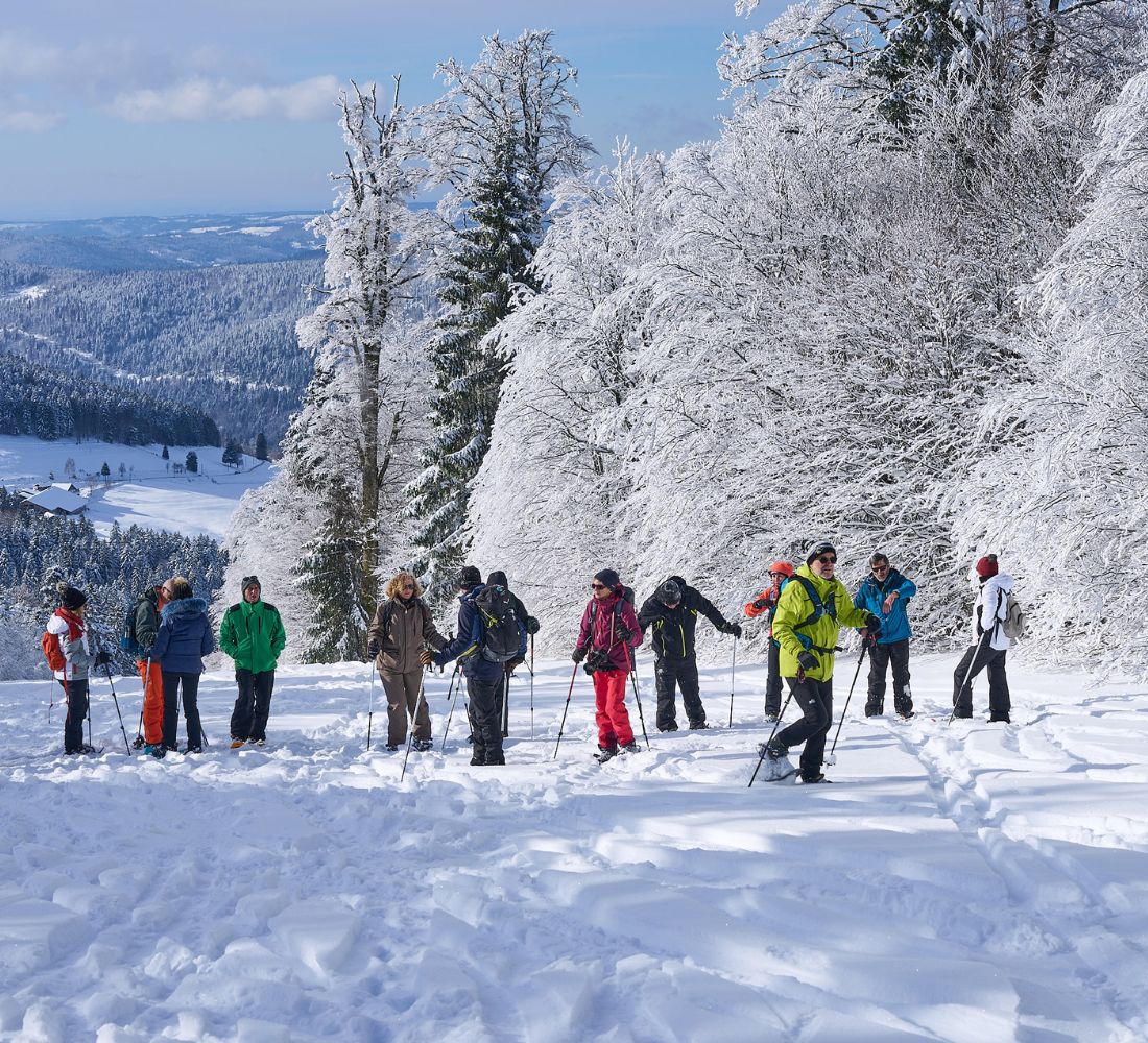 Le Spa Panoramique des Vosges : Yoga & Régénération du Corps