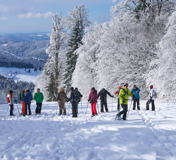 Le Spa Panoramique des Vosges : Yoga & Régénération du Corps