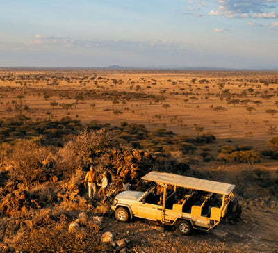 Au Cœur de l’Immensité : Safari & Déserts de Namibie