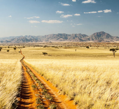 Au Cœur de l’Immensité : Safari & Déserts de Namibie