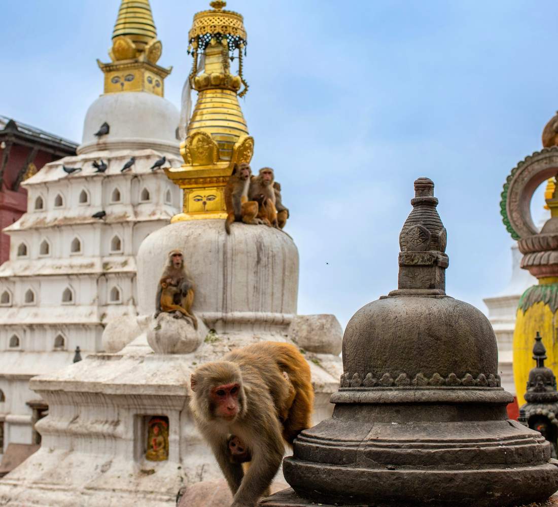 Népal • Entre Himalaya, temples sacrés et pleine présence