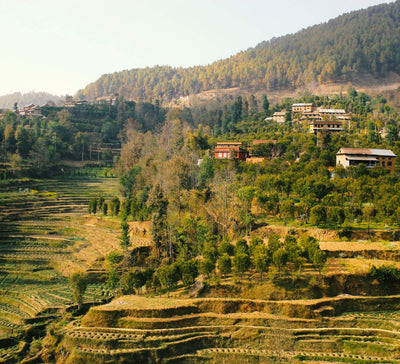 Népal • Entre Himalaya, temples sacrés et pleine présence