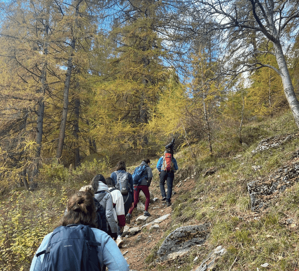 Séjour bien-être : Mountain therapy, Yoga et Randonnée dans les Alpes