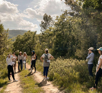 Les Jours Doux : Yoga, Équilibre & Énergie en Provence