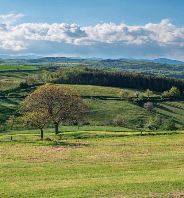 Accueillir 2026 : Yoga & Célébration du réveillon dans le Perche