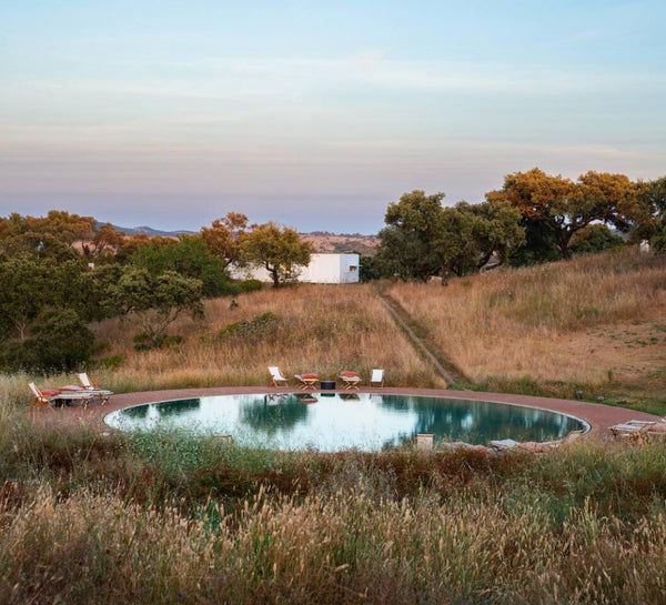 Immersion Nature & Reconnexion au Portugal