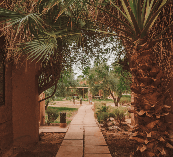 Retraite Yoga, Danse & Créativité à Marrakech