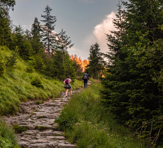 Séjour bien-être : Mountain therapy, Yoga et Randonnée dans les Alpes