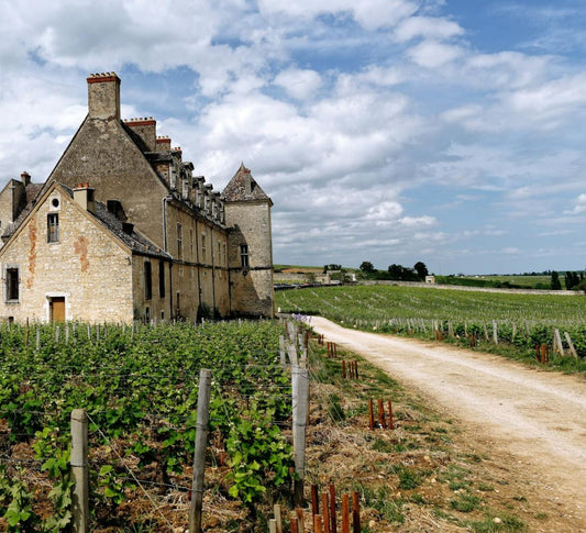 Nouvel an Équilibre & Énergie en Bourgogne