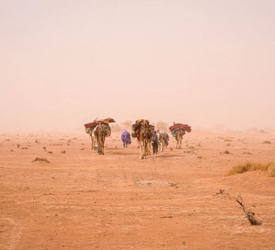 Nouvel an : Yoga & Trek dans le désert marocain