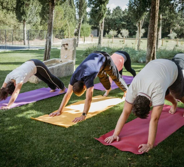 Retraite Yoga et Créativité en Provence - 8 jours