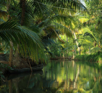 Voyage bien-être et yoga au Kerala en Inde du Sud