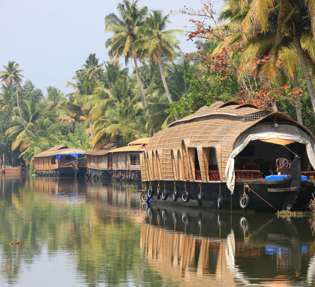 Voyage Bien-Être & fête des couleurs - Kerala, Inde du Sud