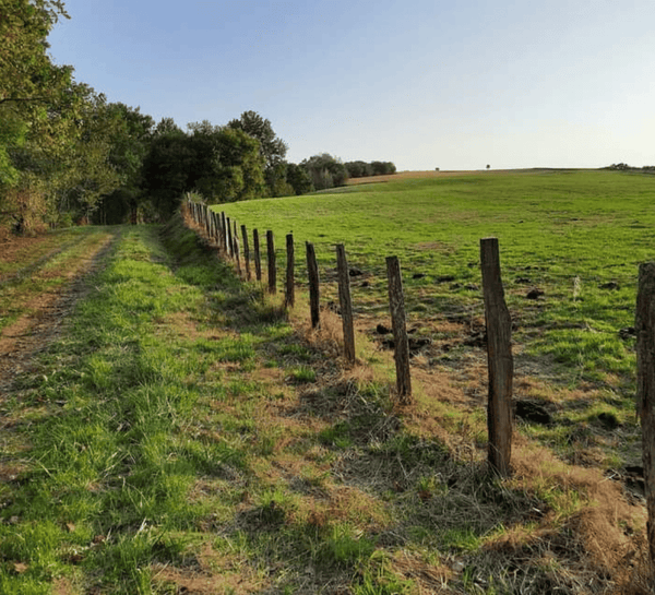 Retraite yoga, slow & reset au Pays Basque