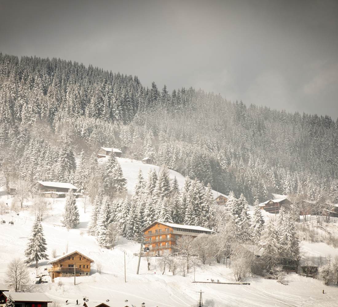 Retraite Yoga et Mountain Therapy dans les Alpes