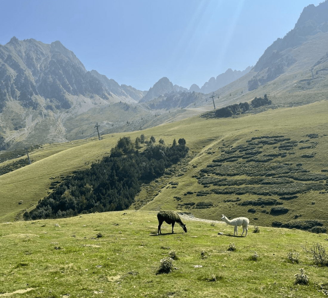 Retraite Yoga et Mountain Therapy dans les Pyrénées - été