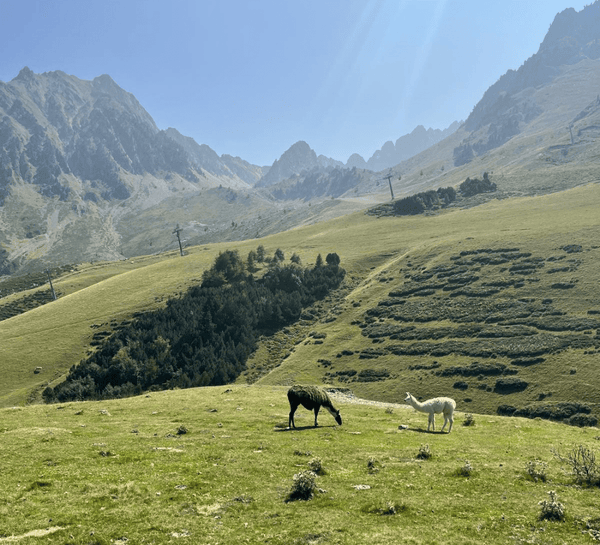 Retraite Yoga et Mountain Therapy dans les Pyrénées - été