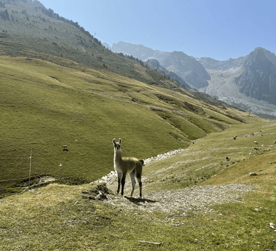 Retraite Yoga et Mountain Therapy dans les Pyrénées - été