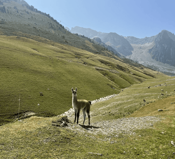 Retraite Yoga et Mountain Therapy dans les Pyrénées - été
